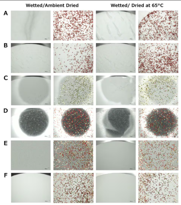 CORANZ, Council of Outdoor Recreation Associations of NZ