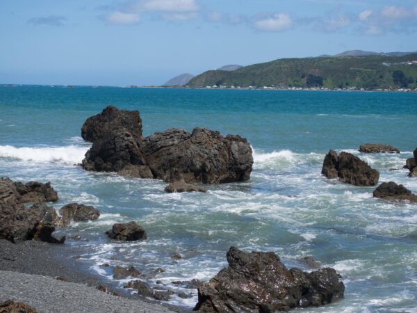 CORANZ, Council of Outdoor Recreation Associations of NZ