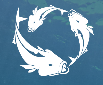 CORANZ, Council of Outdoor Recreation Associations of NZ