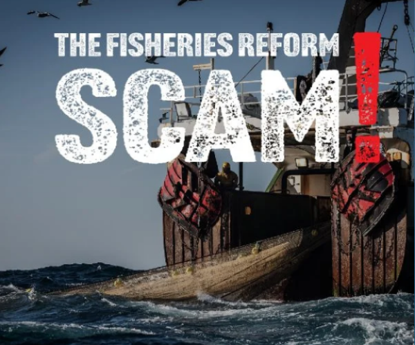 CORANZ, Council of Outdoor Recreation Associations of NZ