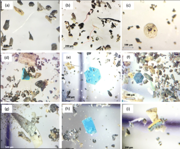 CORANZ, Council of Outdoor Recreation Associations of NZ
