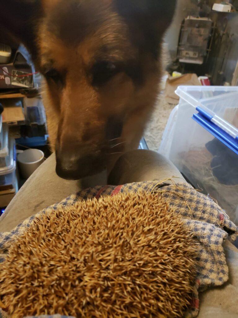 CORANZ, Council of Outdoor Recreation Associations of NZ