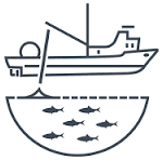 CORANZ, Council of Outdoor Recreation Associations of NZ