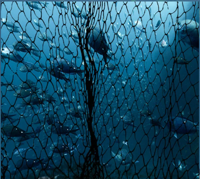 CORANZ, Council of Outdoor Recreation Associations of NZ