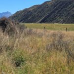 CORANZ, Council of Outdoor Recreation Associations of NZ