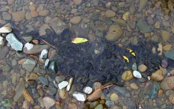 CORANZ, Council of Outdoor Recreation Associations of NZ