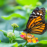 CORANZ, Council of Outdoor Recreation Associations of NZ