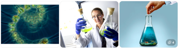 CORANZ, Council of Outdoor Recreation Associations of NZ