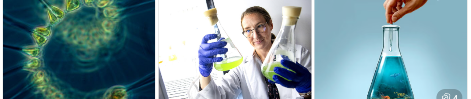 CORANZ, Council of Outdoor Recreation Associations of NZ