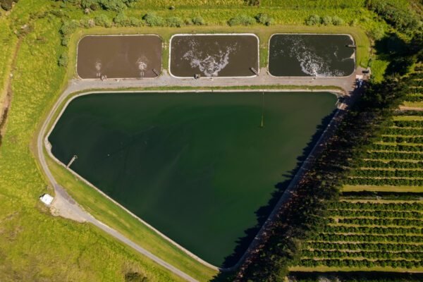 CORANZ, Council of Outdoor Recreation Associations of NZ