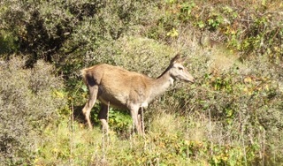 IMG_3029.jpeg
