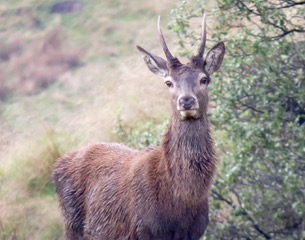 IMG_4348 2.jpeg