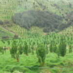 CORANZ, Council of Outdoor Recreation Associations of NZ