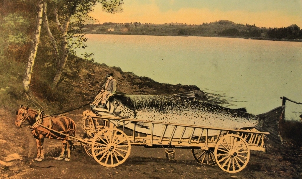 C:\Users\Samsung\Documents\Fishing\Articles - photos\The good old days.jpg